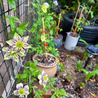 ���������ˣ������ۻ�����