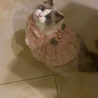 ���Ż�ȹ�ӹ���һ��