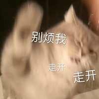 һ���ܱ����죬���˼����ı������ˣ�������棬ֻ�����