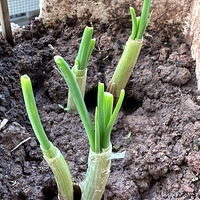 �û������˼��Ŵ�