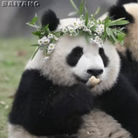 ��425ֵ����  �ݶ����ҩ19���տ�����5��88