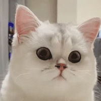 ��426ֵ����â��tv�꿨79������˼������8.9