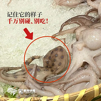 綾ǧԣˡС
