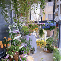 ����������С��̨���ҿ����ڼ�һֱլ