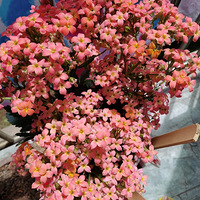 �Ҽҵĳ��ٻ����úúð�