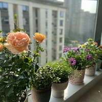 լ�Ҿ�Ĭ�ͻ�