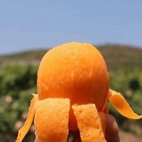 ﲻǲժˣ