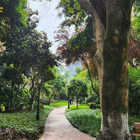 һ������