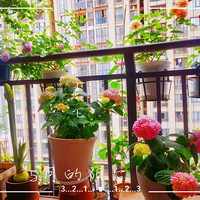 ��̨��԰���ļ�