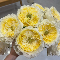 �̴�˿���ҵ��