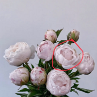 ������ԡ�����̫��������