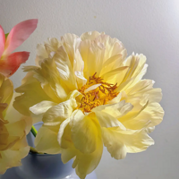 51�����ﶼûȥ��5�����ȫ��լ��Ū����