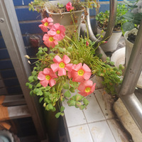 Ⱥ���Ŀ���