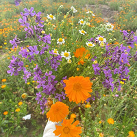 ��������ô�໨��Ұ���£��ĸ�Ů�����ֵܵ��ջ�