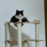 è���������һ����������