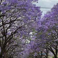 51�����������ʻ������г������������ͷ�������