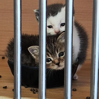 èè��������ֻèè���ҵ��¼������úó���Ŷ��