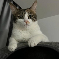 �Դ�������������