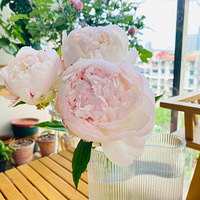 A����ɬŮ��~~�����İ���~~