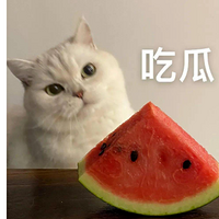 ˣӳƵþǸԩְ
