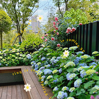 ��԰��ס�ĵ�һ��