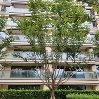 Dream house���빫԰��130ƽװ���У�����Ů��ƫ���������