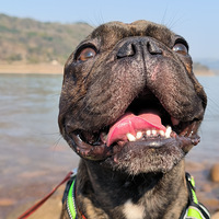 ���µ��죬�յ��������죻�����вţ���Ů�󹷰���.........