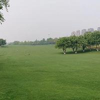 û�취����¥�������빫԰