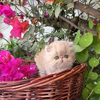 ������˼����һ��.���б��ҿɰ�����