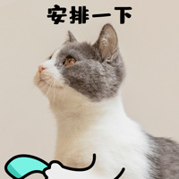 179Ԫ5ؼۻƱˣȸ