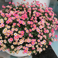 ҽԺ�ſڵ�������ؿ��ĺú���