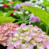 ˭���ڸ�����