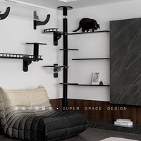 ʵ������ | ���ҸĶ��ң��������˶�è���ֵļң�