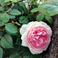 ��¶̨���¼�������