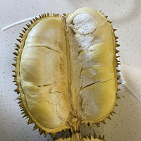 о˶ڳѡ֪