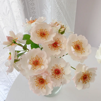 �������¼�������һ�ο������Ʒ�ֵ��¼�