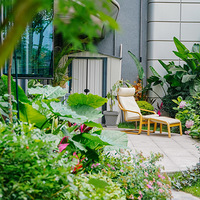 Ժ�ӣ����������ݳ�