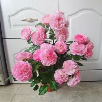 2022�괰̨�ϵ��¼�����ľ���