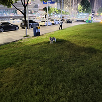 �⻷�����޹������ԡ�����������ƺ���ø��ˡ�