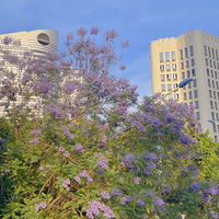 5�µ����죬����û������麣����̫̫̫�λ���