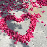 ���촺�첻���л������Ļƻ�������÷�ĺ�