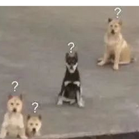 컳һֺƴãûɵġ