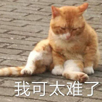 ڸɿڿʵˣҪЩ