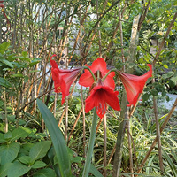 �����������̲�ס������