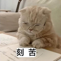 2ҪVD𣬲ꣿϳϳԣ