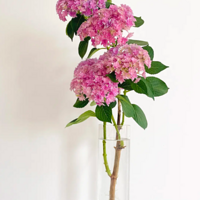 ���밲��һ������޵е�����