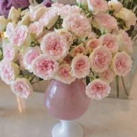 �̵�����򵽵ı��������ҵ������в���û��fafa~