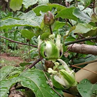 ��������ڿ����ˣ����һ������