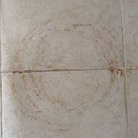 ǿ�Ұ���������࣬���������øɾ�