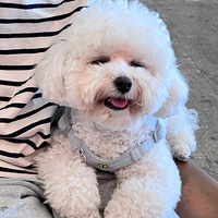 С������ЦŶ